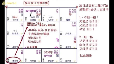 流月查詢|流月怎麼算？紫微鬥數流月運勢完整教學 